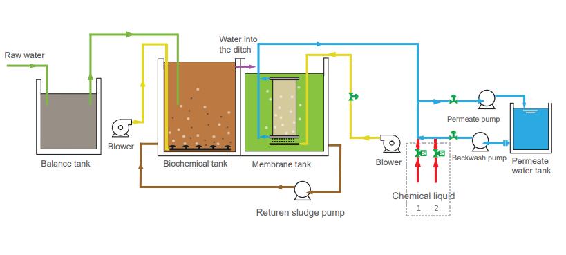 Bio-reactor membrane